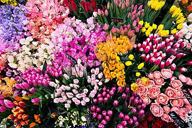 《赛博朋克2077》近一个月Steam评价90%好评 总监喜极而泣